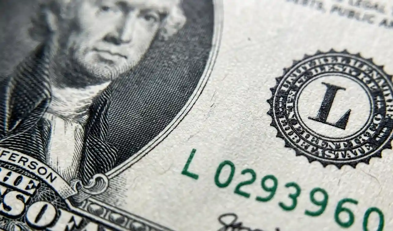  Detailed macro image of $2 bill paper texture